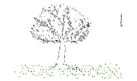 Modulo 5 Pac e efeitos da PAC