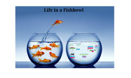 Fishbowl Effect By Chris Harris On Prezi