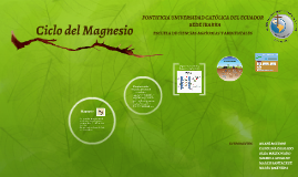 Ciclo Del Magnesio By Marco Santacruz On Prezi