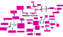 immune system concept map by brooke hall on Prezi