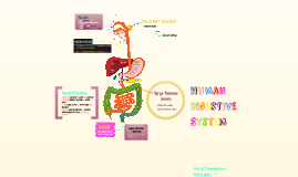 La Computadora By Rosanny Caliman On Prezi