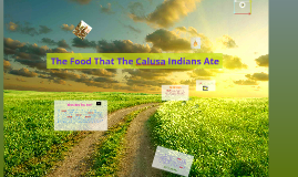 The Food That The Calusa Indians Ate by Dodo Bird on Prezi