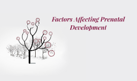 factors affecting prenatal development pdf