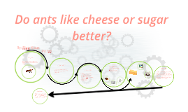 do ants like cheese or sugar better by piotr klaus on prezi do ants like cheese or sugar better by piotr klaus on prezi