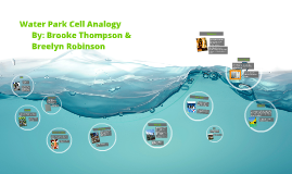 Water Park Cell Analogy by breelyn robinson on Prezi