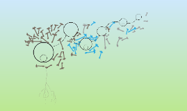 Galapagos Food Web Thingy by Maureen Mendez on Prezi