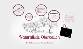 naturalistic observation naturalistic observation