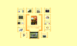 Tangerine (by Edward Bloor) Visual Map by Gregoria Rodriguez on Prezi