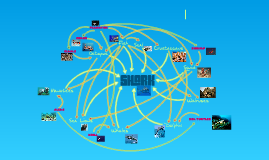 Shark food chain by Sairah C on Prezi Biology Diagrams