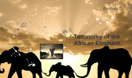 Taxonomy of the African Elephant. by bolu ogunniyi on Prezi