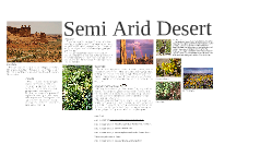 Semi Arid Desert Biome By Tyler Willis On Prezi