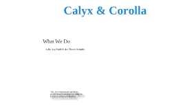calyx corolla case study Get this from a library vermont teddy bear company : calyx & corolla [alexander chernev. calyx corolla case study Get this from a library vermont teddy bear company : calyx & corolla [alexander chernev.