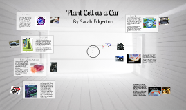 Cell Compared To A Car British Automotive Cell Compared To A Car British Automotive