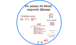 Os selves de Mead 