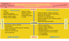 Resumen de introspección. by Ana Gris Pulido García on Prezi