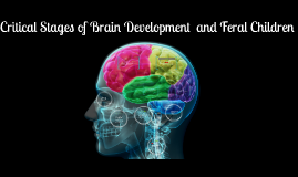 Critical Stage of Brain Development and Feral Children by on Prezi