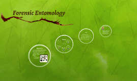 forensic entomology essays Forensic entomology is using insect biology to determine specific aspects of a crime it can be used to determine time of death, whether or not a body has been moved. forensic entomology essays Forensic entomology is using insect biology to determine specific aspects of a crime it can be used to determine time of death, whether or not a body has been moved.