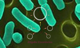 Shigella Dysentariae by daniel suh on Prezi