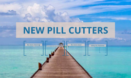 Donna Wright Model of Competency by on Prezi