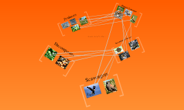 Canadian Geese Food Web by Wes LaPrairie on Prezi