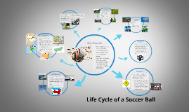 Life cycle of a soccer ball poster