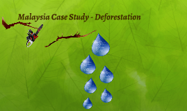 deforestation case study in malaysia