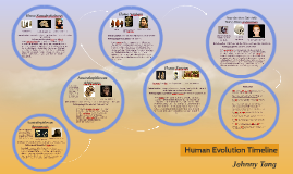 human evolution timeline