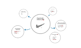 nike analyse organisatie stakeholders prezi