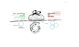 Untitled Prezi Untitled Prezi