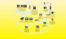 Camel Food Web by Chelsea Chan on Prezi