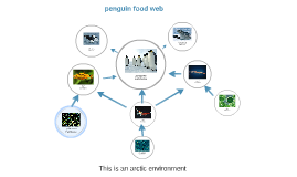 EMPEROR PENGUIN FOOD WEB by isha Last Name on Prezi