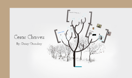 cesar chavez by daisy orenday on prezi