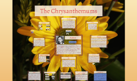 The chrysanthemums analysis