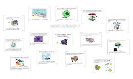 Story of a Journey through an Animal Cell by Julia Le on Prezi