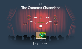 Common Chameleon Life Cycle by Joey Landry on Prezi