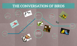 The Conversation Of Birds By On Prezi The Conversation Of Birds By On Prezi