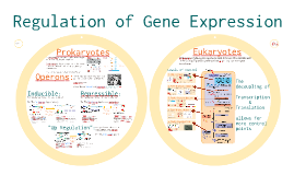 gene alteration essay gene alteration essay