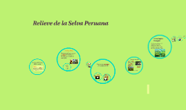 Relieve de la Selva Peruana by Sonia Bolaños Flores on Prezi
