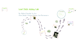 write a hypothesis that the leaf disk assay is designed to test