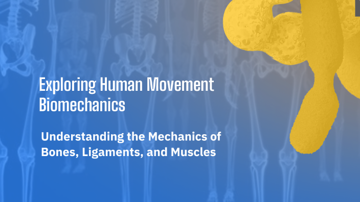 Exploring Human Movement Biomechanics by Samar Adel on Prezi