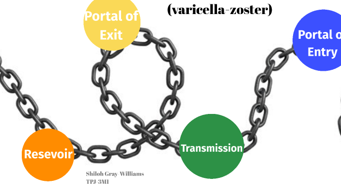Chain of Infection TPJ3M1 by on Prezi