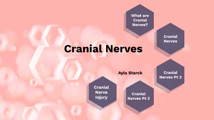 Cranial Nerves Project by Ayla Starck on Prezi Next