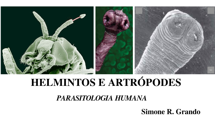 Helmintos e Artrópodes_Parasitologia by Simone Regina Grando on Prezi