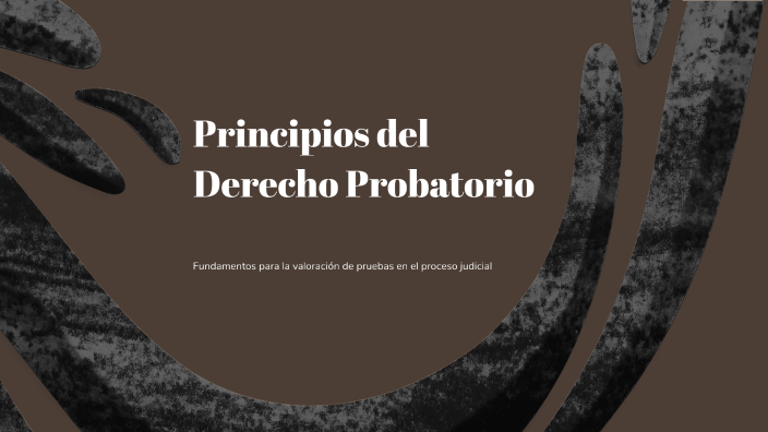 Principios del Derecho Probatorio by Diana Marcela Diaz Aragon on Prezi