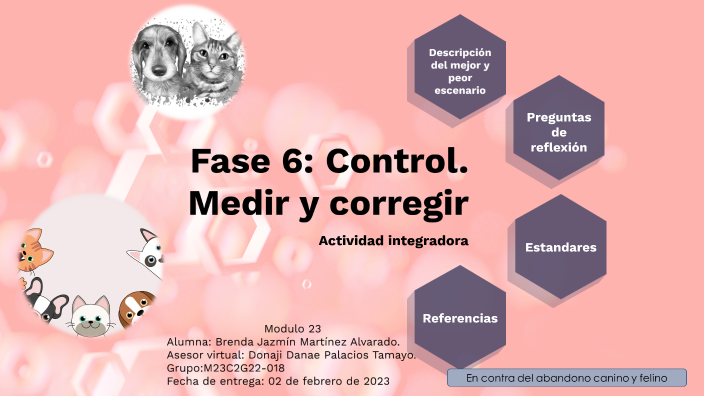 Fase 6: Control. Medir y corregir by brenda martinez on Prezi