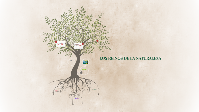 LOS REINOS DE LA NATURALEZA by carmen magdalena zambrano zambrano on Prezi