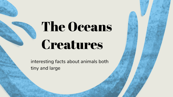 The Ocean by Natalie Cane on Prezi