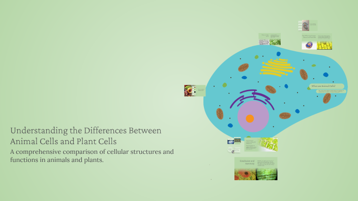 Understanding the Differences Between Animal Cells and Plant Cells by ...