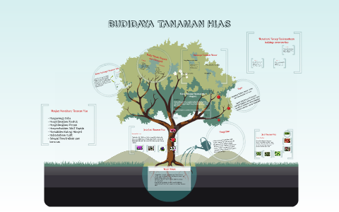  BUDIDAYA  TANAMAN  HIAS  by dianristan patongai on Prezi