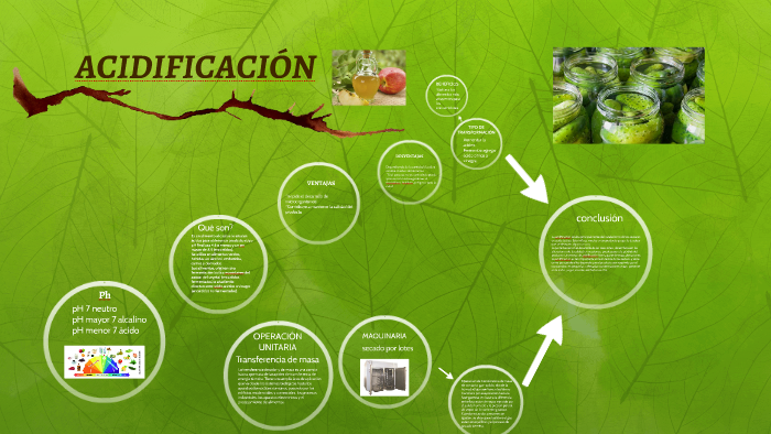ACIDIFICACIÓN by raquel alfaro torres on Prezi